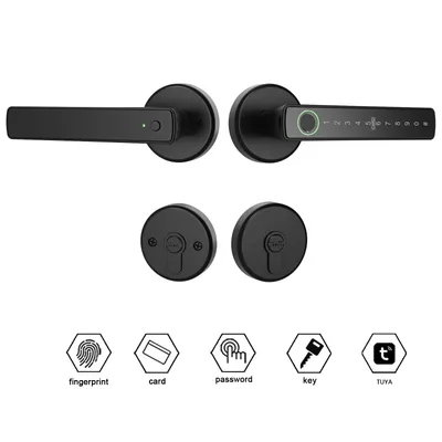 WINFREE Smart Lock Fingerprint Keyless Entry Tuya Bluetooth Voice Control Alexa Google Assistant Home Office Apartment Door Lock