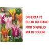 Bulbi autunnali offerta 70 bulbi tulipano fior di giglio mix di colori bulbi autunnali bulbs