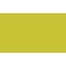 Duni Bio Dunicel®-Mitteldecke 84 x 84 cm Kiwi, 100 Stk/Krt (5 x 20 Stk)
