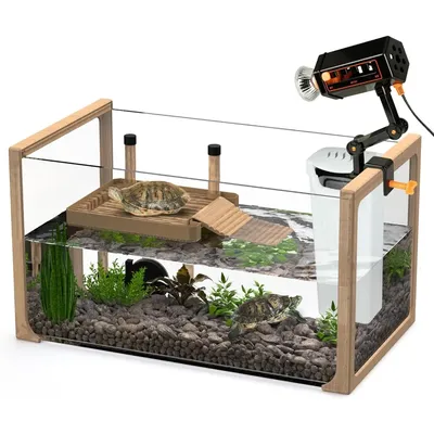 New 2024 - Aquatic Turtle Tank with Filter and Light + Turtle Basking Platform, Small Turtle Tank