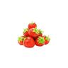 Fabre Graines - fraisier san andreas - 20 plants - Fruitiers