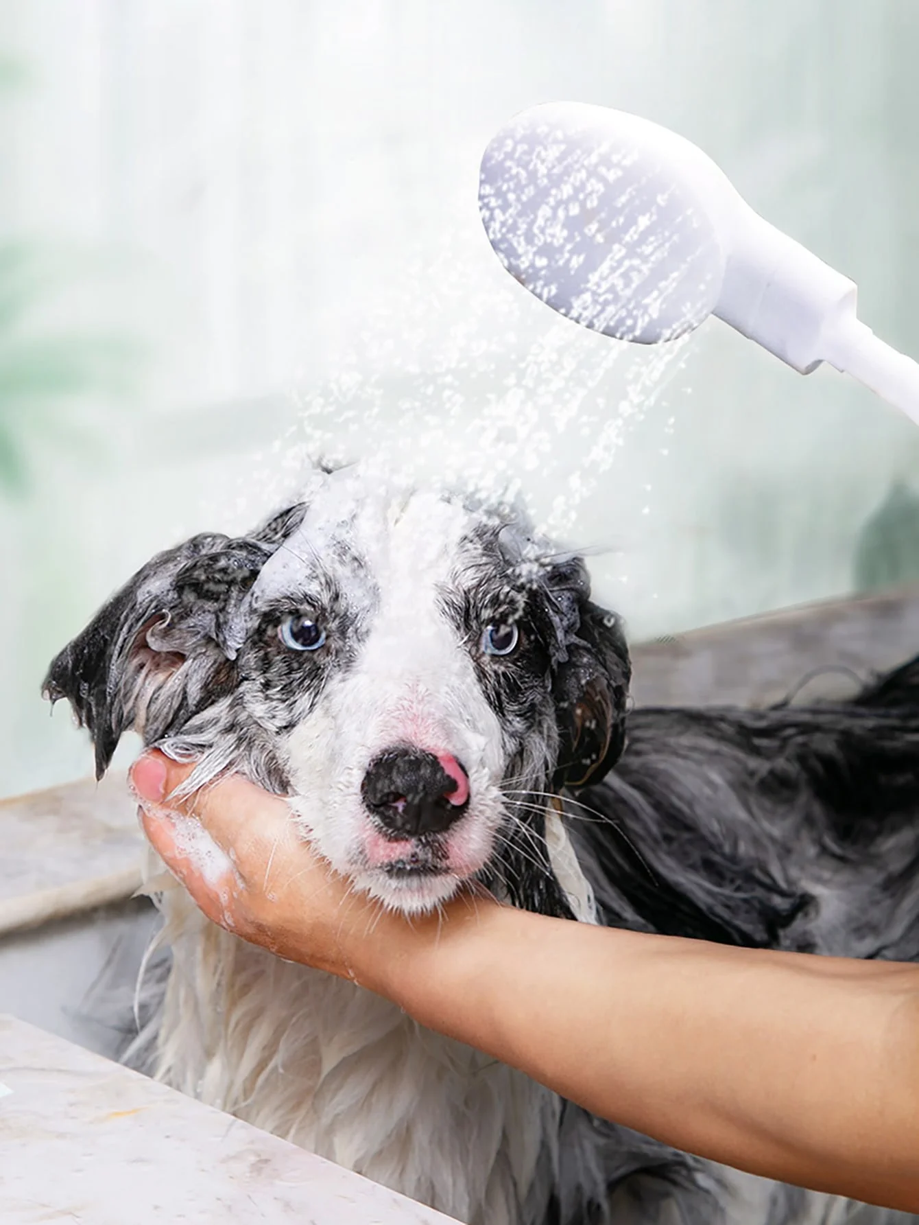 1 Stück – Wasserhahn, Shampoo, Dusche, Haustier-Katzen- und Hunde-Duscharmatur, Spray, Multifunktions-Wasserhahn, Duschdüse, einfach zu installieren Image