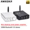 AMXEKR MINI Mini amplificatore di potenza Desktop Mini febbre ad alta fedeltà digitale Bluetooth 5.0