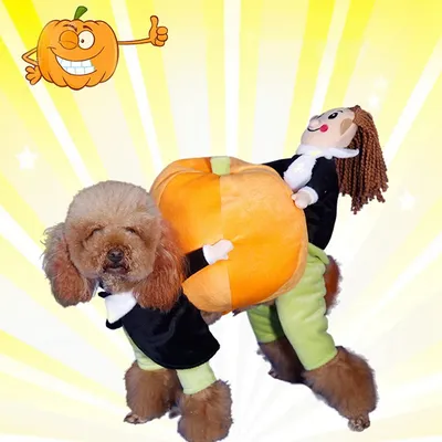 Pet+Costumes