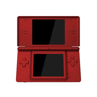 Nintendo+DS+Accessories