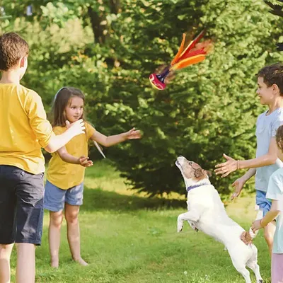 Outdoor Shuttlecock Feather Hand Sports Toys Hand Kick Shuttlecock Competition Training Shuttlecock