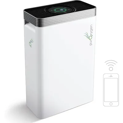 Air+Purifiers