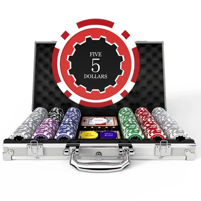 300-Piece Poker Set Weighted 11.5g Chips with Numbered Denominations, Premium Aluminum Case,