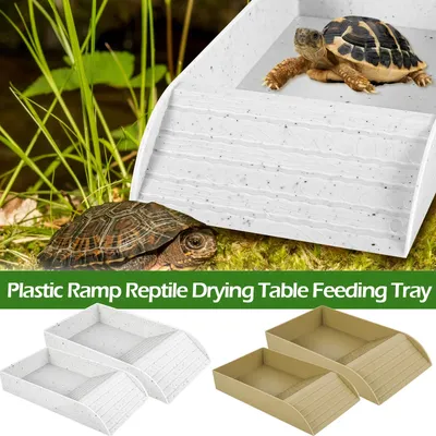 Reptile Platform Hermit Crab Habitat Crawling Pet Food Bowls Anti-Slip Turtle Hideout Caves Shelter