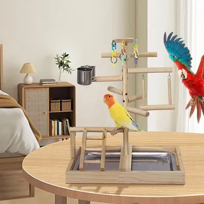 Bird Cage Playground Natural Wood Bird Toys Bird Perch Standing Pole Stairs Toy To Relieve Boredom