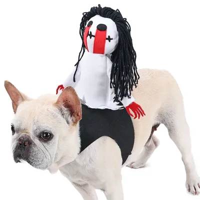 Pet+Costumes