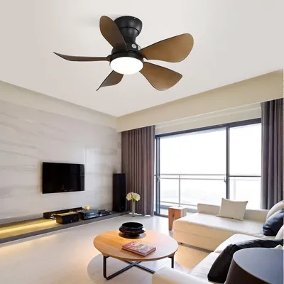 Ceiling+Fans