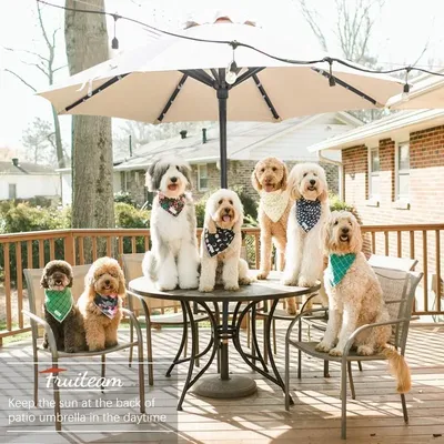 Patio+Umbrellas