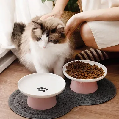 Cat Bowl Ceramic Pet Bowls Cat Dog Bowl Dish Pet Food Plate Kitten Water Dish Feeder Dog Bowl