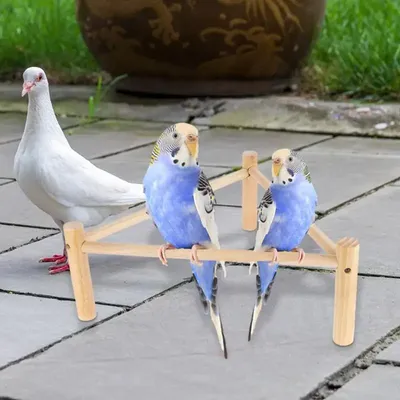 Wood Bird Perch Stand Wood Parrot Branch Grinding Perch Parrot Perch Toy Stable Bird Stand Toy