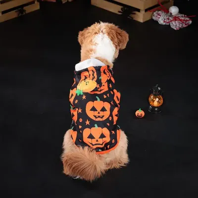 Pet+Costumes