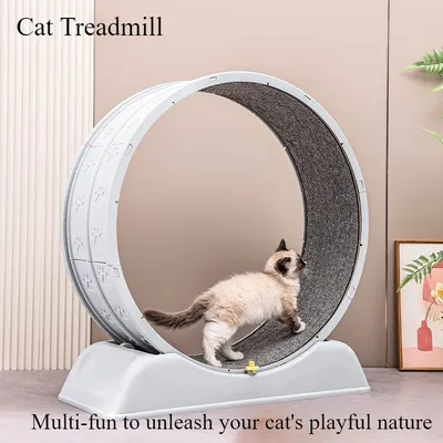 Treadmill for cats, treadmill for cats to parkour at home and small dogs, easy-to-assemble exercise