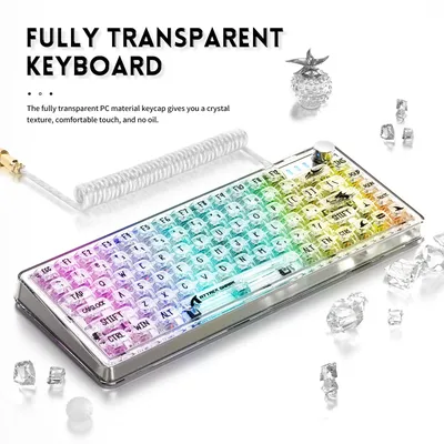 TKL Hot Swappable Wired Keyboard, Transparent PC Keycaps, Custom RGB Gaming Keyboard, Gasket