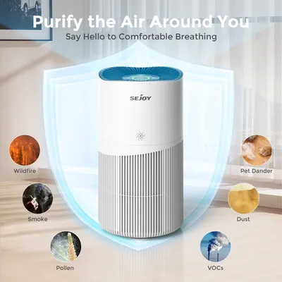 Air+Purifiers