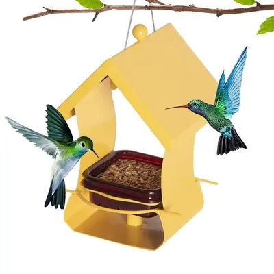 Auto Bird Feeder Automatic Metal Large Capacity Rainproof Birdfeeders Food Dispenser Golden Cute