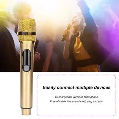 Home Wireless Microphone 1 for 1 30Hz To 20KHz Handheld Microphone with LED Screen for Outdoor Home