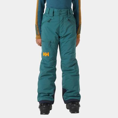 Helly Hansen Junior Elements Skihose 176/16 Image