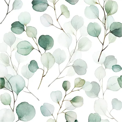 Green Leaf Peel and Stick Wallpaper Green/White Eucalyptus Leaf Self Adhesive Contact Paper Wall