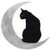 Halloween Metal Sign Black Cat Moon Wall Hanging 11.8'' x 11.8'' Back Cat Metal Sign Wall Decoration