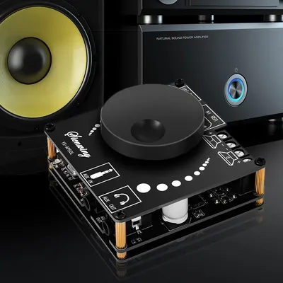 YS-AP50L digitale Leistungs-Audio-Verstärker platine 50 wx2 Stereo-Verstärker verstärker cs8673e Image