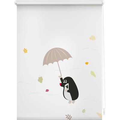 Seitenzugrollo LICHTBLICK ORIGINAL "Rollo Klemmfix, ohne Bohren, blickdicht, Maulwurf - Bunt", bunt (bunt, weiß), B:120cm H:150cm, Polyester, Rollos Image