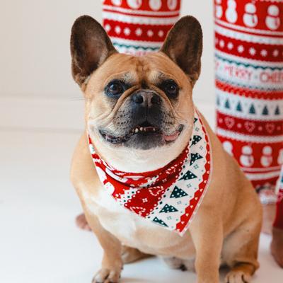 Festive Fair Isle Pet Bandana - XS/S