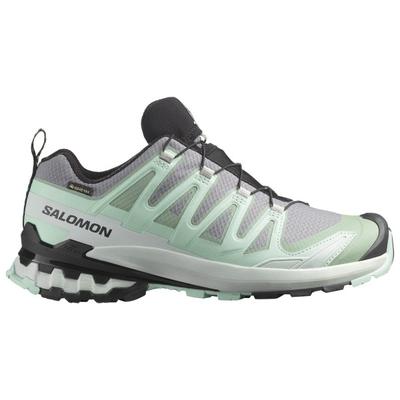 Salomon - Women's XA Pro 3D V9 GTX - Multisportschuhe 37 1/3 | EU 37 grau Image