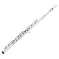 Muramatsu GX-CCE Flute