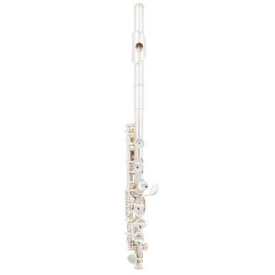 Philipp Hammig 650/10 Piccolo Flute