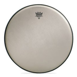 Remo 14" Renaissance Ambassador