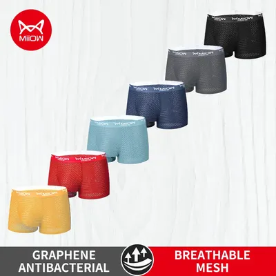 Miiow 6pcs Eis Seide Männer Unterwäsche Boxer Mesh atmungsaktive Herren Höschen anti bakterielle Herren Unterhose L-4XL Mann Boxer sexy Trunks Image