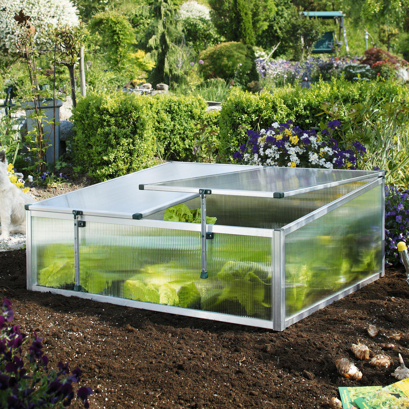 Frühbeet BECKMANN "Typ Allgäu - Modell 1", silber (silberfarben), B:100cm H:40cm T:90cm, Aluminium, Polycarbonat, Pflanzgefäße, BxTxH: 100x90x30/40 cm Image