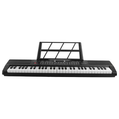 Hey Play 61 Key Piano Keyboard with Microphone and Built In Speakers