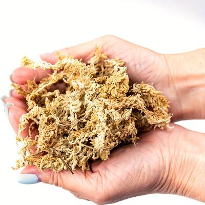 TEMU Orchids, Succulent Sphagnum Moss- Natural Long Fibered Sphagnum Plants Moss Dried, Moss Orchid For Orchids, Succulent, Reptiles