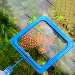 Anneau flottant d'alimentation pour poissons, Station d'aquarium à cercle carré avec ventouse,