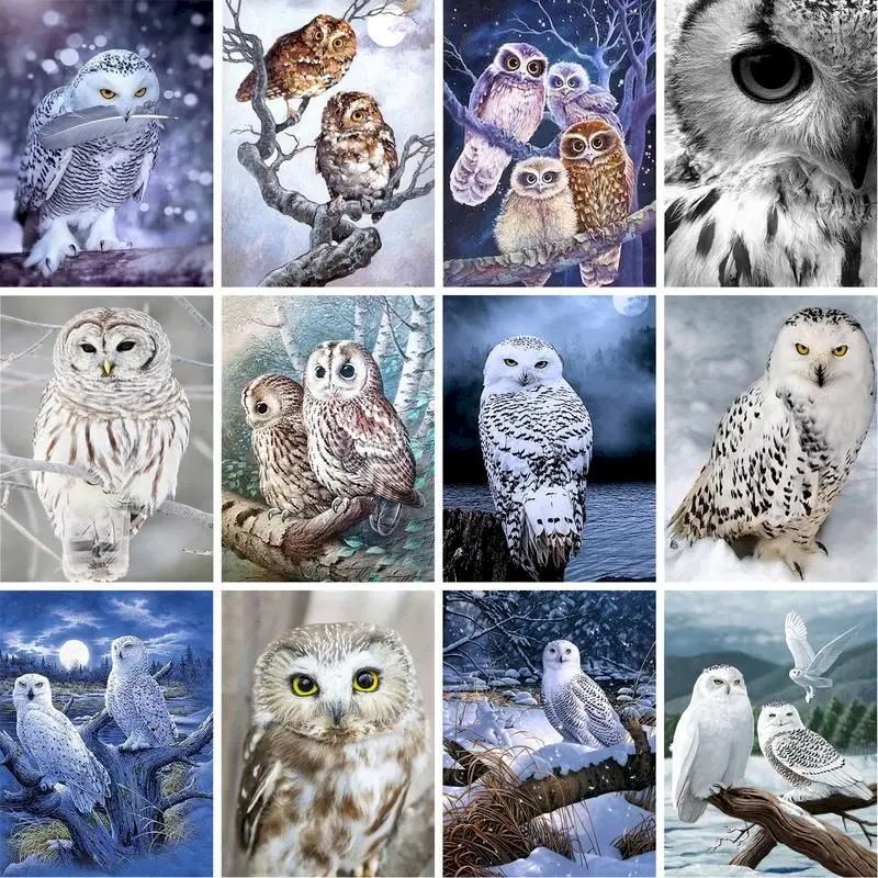 Gatyztoire – Kits de peinture acrylique par numéros, hibou, animaux, dessin sur toile, coloriage par numéros pour cadeau, Diy bricolage