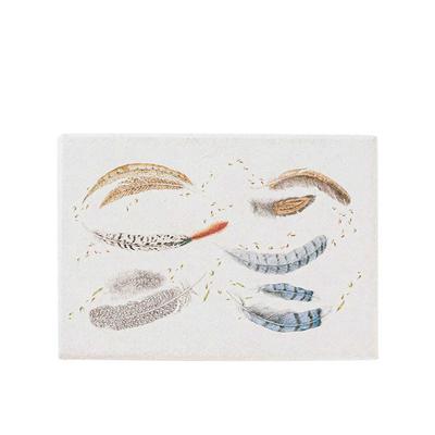 Forest Walk Note Card Assorted Set of 6 - Cafe Au Lait