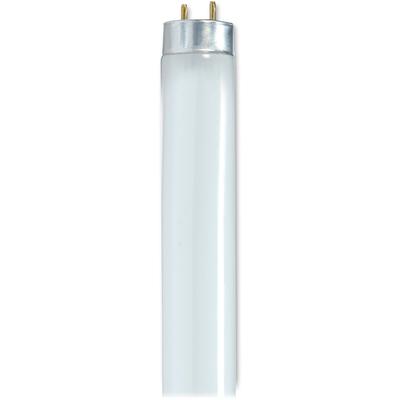 Satco S8420 Linear T8 Fluorescent Tube, 32 Watts, 30/Carton - Case of 30