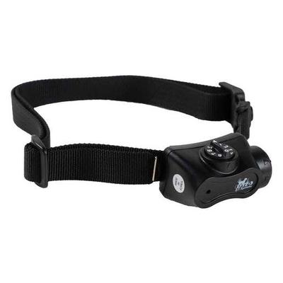 DT Systems Bark Boss Bark Control Collar - Black