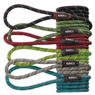 Kuma 3-In-1 Polyester Dog Leash - Aqua/Black