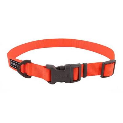 Water & Woods Adjustable Dog Collar - Safety Orange 18in - 26in