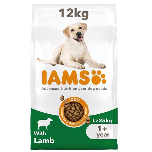 12kg IAMS Advanced Nutrition Adult Large Dog mit Lamm Hundetrockenfutter