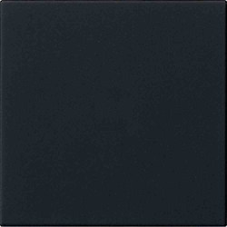 Gira System 3000 Bedienaufsatz, System 55 Schwarz matt Image