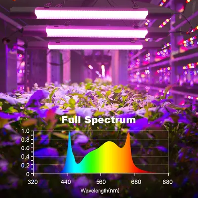 LED Grow Light Hydro ponics Anbaus ystem Voll spektrum Anbau Growtent Phyto Lampe 72/216pac/LED Indoor Grow Zelt Pflanzen