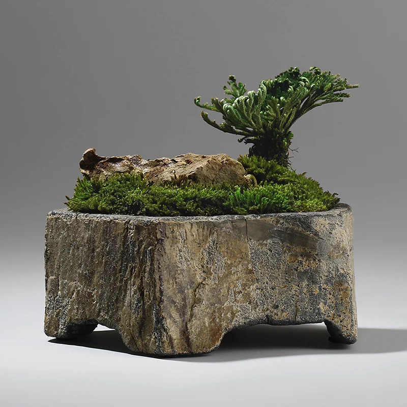 Basalt Naturstein-Blumentopf Handgefertigter Sukkulenten-Pflanzgefäß für Innen- und Außenbereich Desktop-Bonsai Garten Heim- und Bürodekoration Image